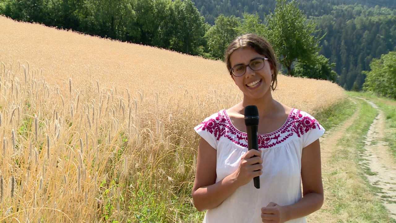 Le Prix Média pour la Suisse romande de l'USP récompense Canal 9